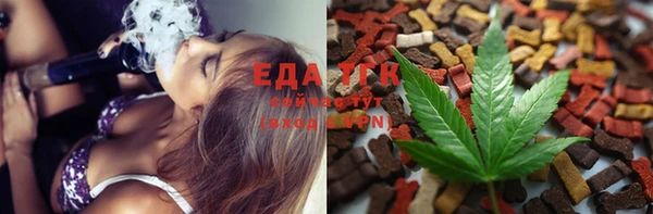 дживик Тында