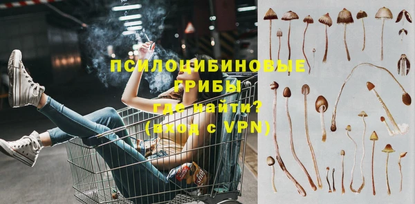 герыч Козельск