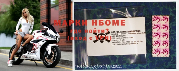 шишки Туринск