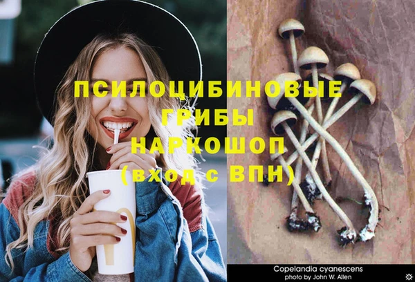 герыч Козельск